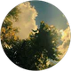 Zeynep yağmur Öztürk profil fotoğrafı