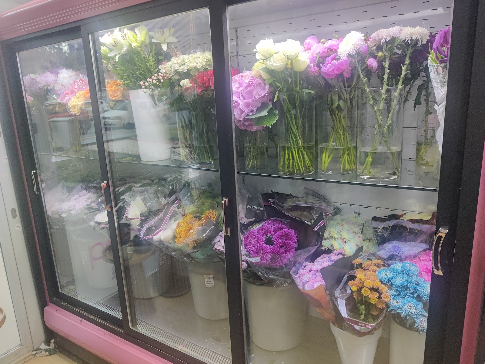 POPPY FLOWERS TOKAT