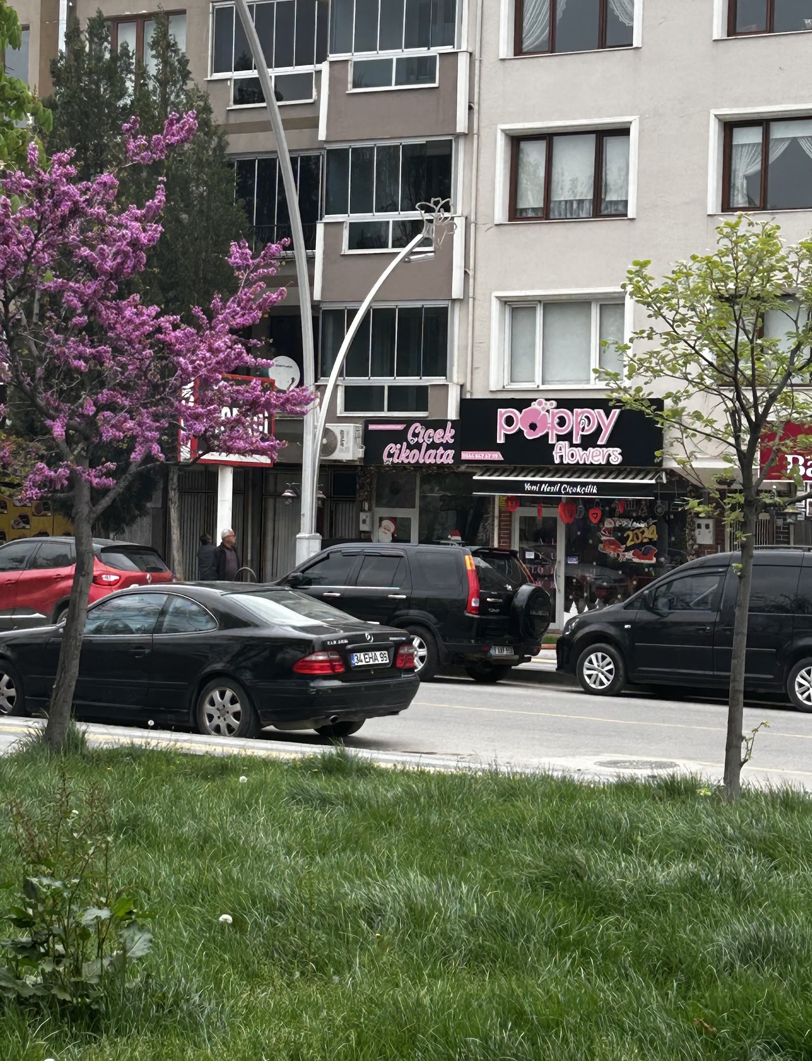 Poppy Flowers Tokat kır düğünü mekanı — Merkez