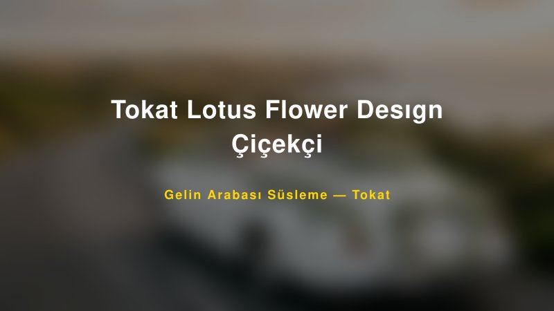 Tokat Lotus Flower Desıgn Çiçekçi Tokat Gelin Arabası Süsleme