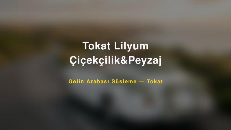 Tokat Lilyum Çiçekçilik&Peyzaj Tokat Gelin Arabası Süsleme