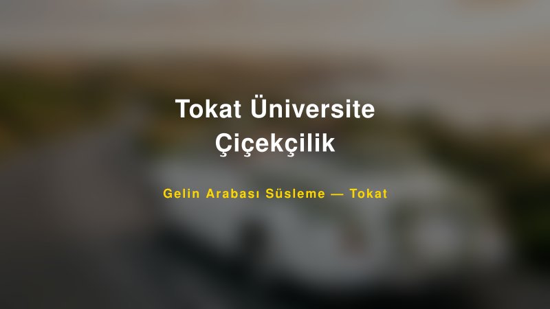 Tokat Üniversite Çiçekçilik Tokat Gelin Arabası Süsleme