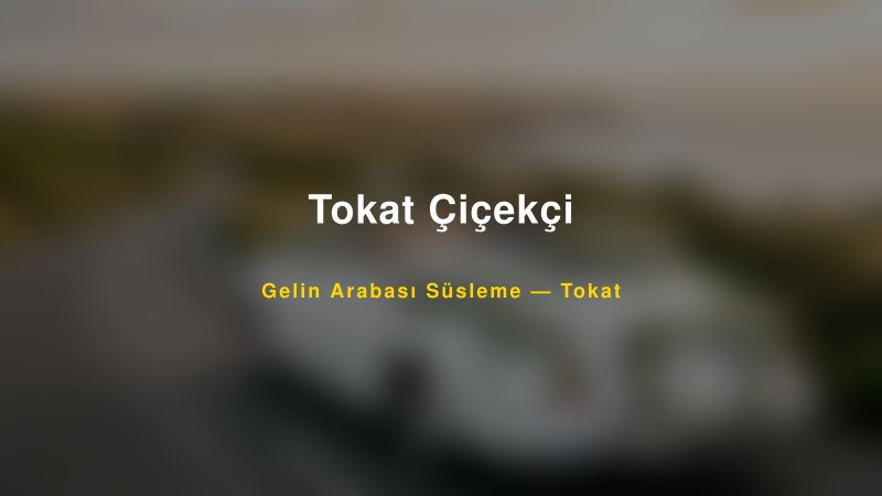 Tokat Çiçekçi Gelin Arabası Süsleme Fiyatları — 1